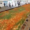 Guinness World Record of biggest lasagne