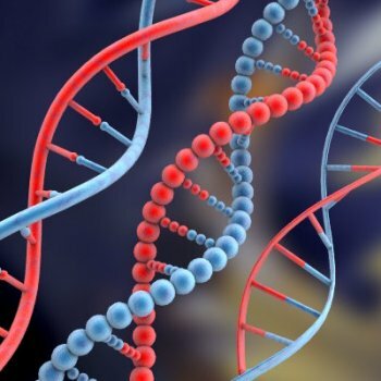 Дети будущего с трехсторонним ДНК