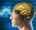 Минобороны США разрабатывает недорогое устройство для диагностики состояния головного мозга