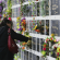 В Китае запретили традиционные похороны